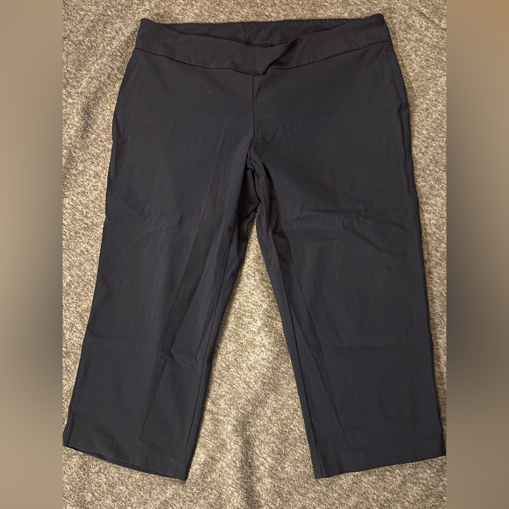 Alfani Navy Capri’s